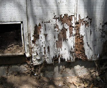 Wood damage on the exterior of a home, caused by termites.